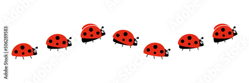 Ladybugs line icon group. Cute ladybirds set. Vector illustration isolated on white.	