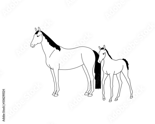 Horses baby with his mother, cute family illustration