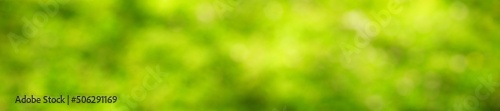 Abstract green blurred natural background, horizontal banner - view of the green foliage in the forest on a sunny day with space for text