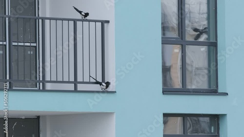 Forty life in the city on the balcony