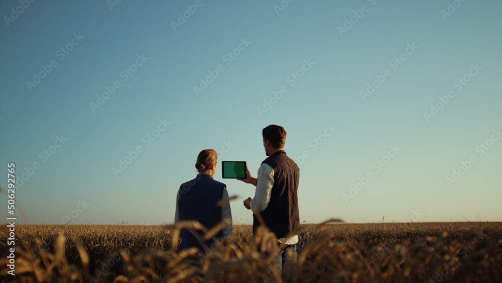 Farmers using pad computer for online communication with partners at wheat field