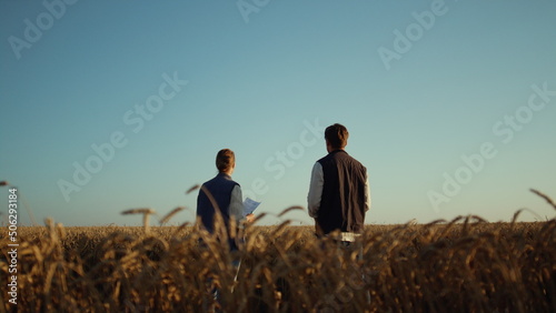 Team agronomists working at golden wheat field. Workers inspect crops rear view.