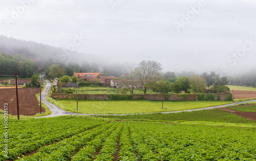 coristanco