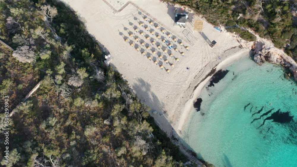 holiday, umbrella, sea, reed, lovely, mediterranean sea, diving, relaxing, swimming, sightseeing, horizon, travel, bed, tropical, mountain, comfort, seagull, marin, eilat, sandy shore, caribbean, clou