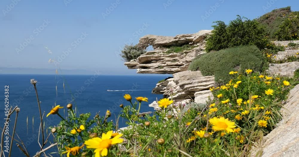 View of the limestone cliff of Bonifacio town in Corsica, France- Vue sur les falaises de calcaire de la ville de bonifacio en Corse, France