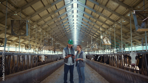Animal farm managers talking holding tablet computer inside modern cowshed barn. photo