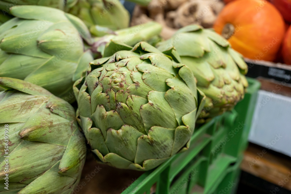 Obraz premium Heads of fresh organic artichoke flowers, edible vegetables green artichokes