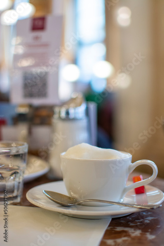 Lifestyle of Vienna, cup of hot cappuccino coffee with cream foam served in old Viennese-style Austrian cafe