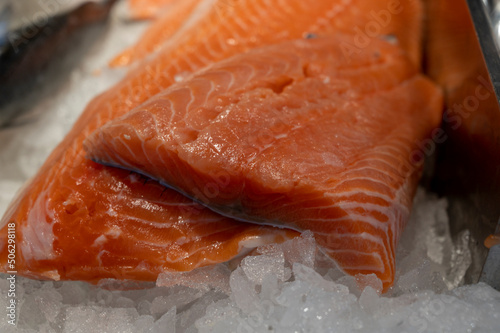 Organic wild scottish fish salmon cleaned on ice on market photo