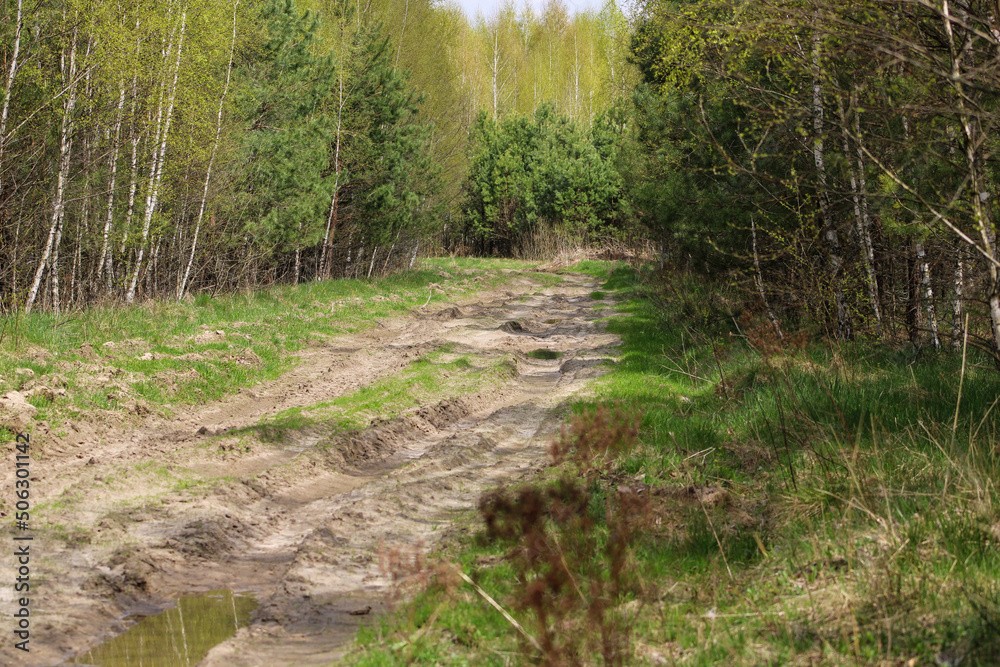 Dry sand road in the middle of the forest Dry sand road in the middle of the forest