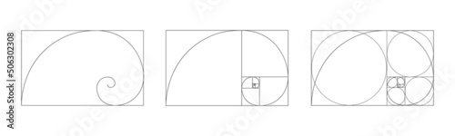 Golden ratio icon. Logarithmic spiral in rectangle frame fracted on squares and circles. Fibonacci sequence sign. Ideal symmetry proportions template for photography. Vector outline illustration