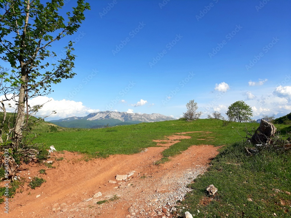 Mountain Bjelasnica landscape in the summer, unpaved road and meadows, mountain Treskavica in the distance, Bosnia and Herzegovina Mountain Bjelasnica landscape in the summer, unpaved road and meadows, mountain Treskavica in the distance, Bosnia and Herzegovina
