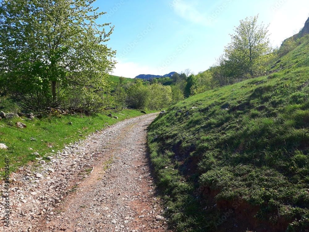 Mountain Bjelasnica landscape with snow, meadows, unpaved road to Umoljani and mountain Treskavica in the distance, Bosnia and Herzegovina