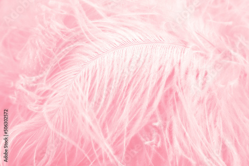 Closeup of big fluffy pink feather. Romantic pastel background