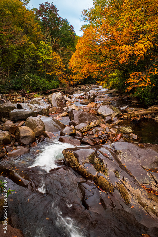 Obraz premium Stream of water in the deep colored fall foliage in the Smoky Mountain National Park (the Smokies), Tennessee, USA.