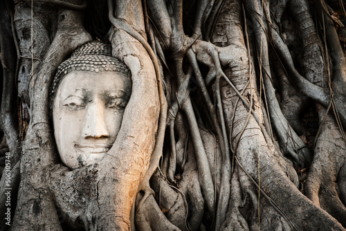 Fototapeta Buddha head in banyan tree roots at Wat Mahathat temple in Ayutthaya, Thailand