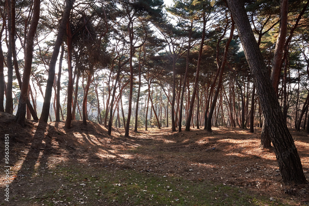 Yungneung and Geolleung Royal Tombs is the tomb of the king of the Joseon Dynasty.