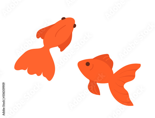 きんぎょのかわいいイラスト。夏祭りの金魚すくいなどの挿し絵用。