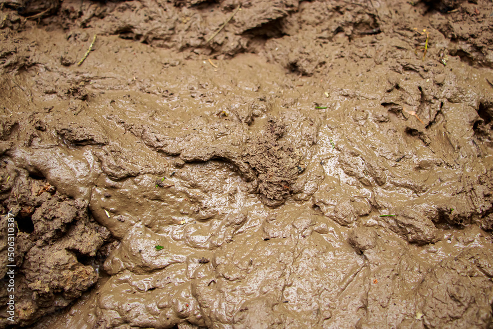 Dirt close-up. Off-road liquid mud. Soil after rain. Texture dirt background.