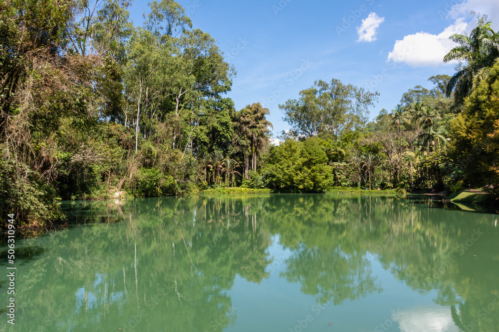 Vista das árvores refletidas no lago