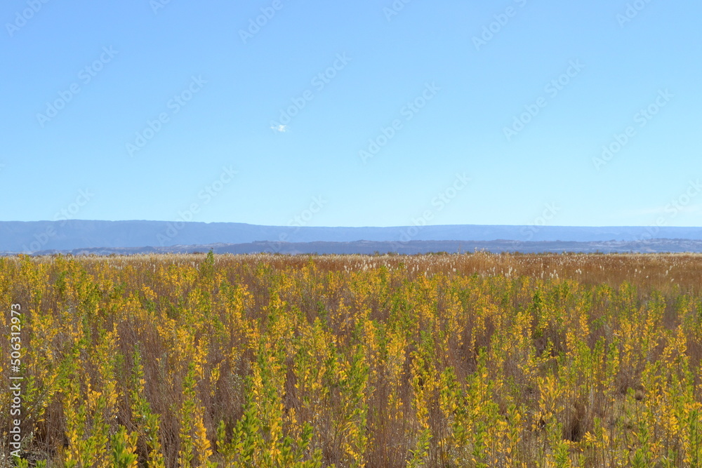 San Pedro do Atacama - Chile 2017