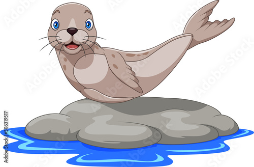 Cartoon sea lion on the rock