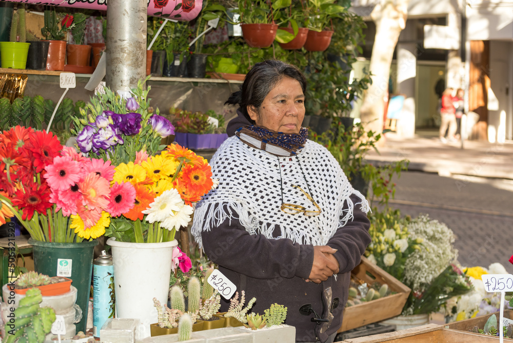 Naklejka premium aboriginal woman working in a flower stall, fighter, humble, hardworking, female empowerment concept