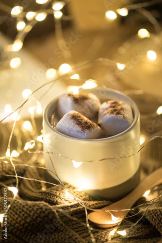 Christmas Warm Cinnamon Chocolate Drinks 