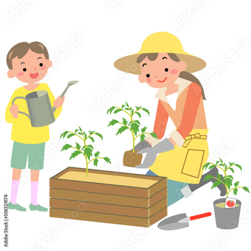 夏野菜の苗を植える母親と男の子