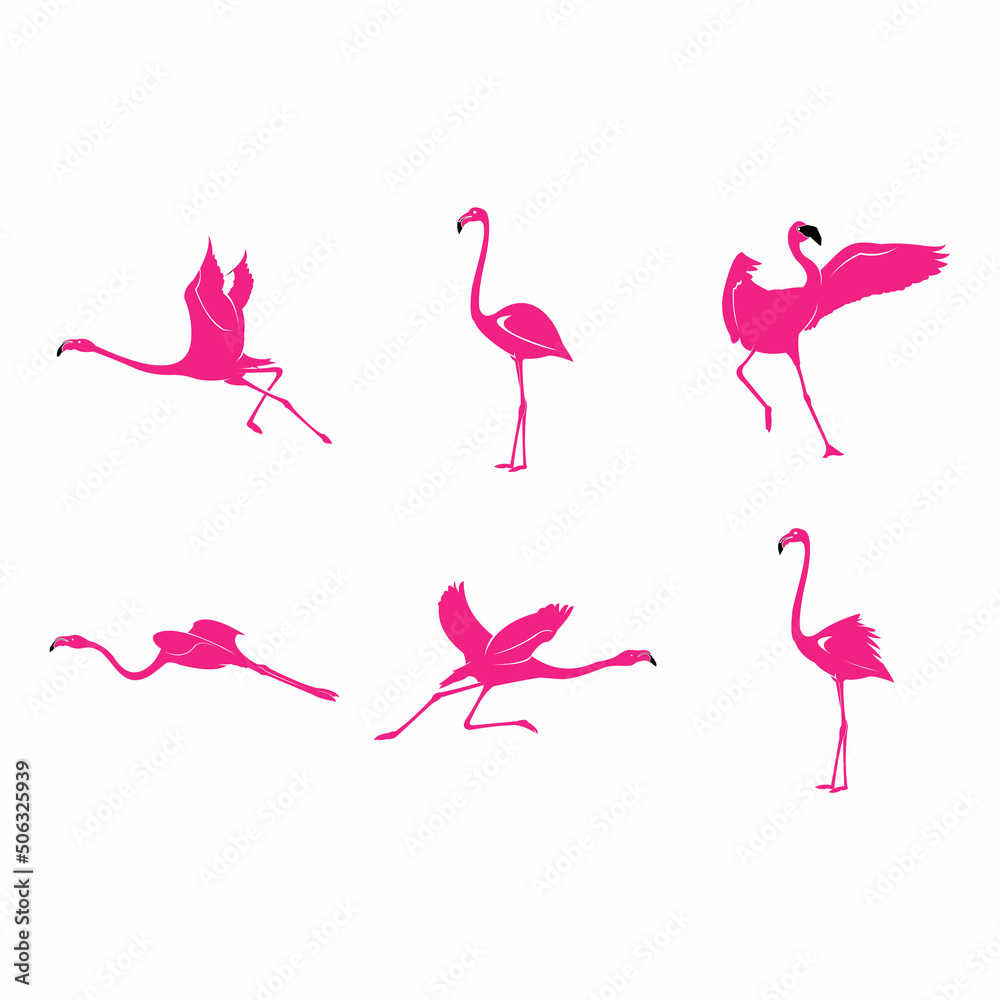 set pink flamingo silhouettes isolated vector illustration logo design