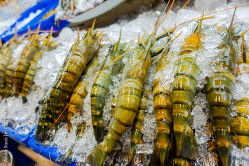 Fresh king prawn chilled with ice for preservation on sell in an open air gourmet high end exotic fresh food market in Bangkok, Thailand