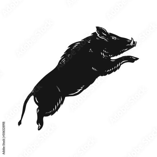 Fototapete wild boar hand drawn illustration