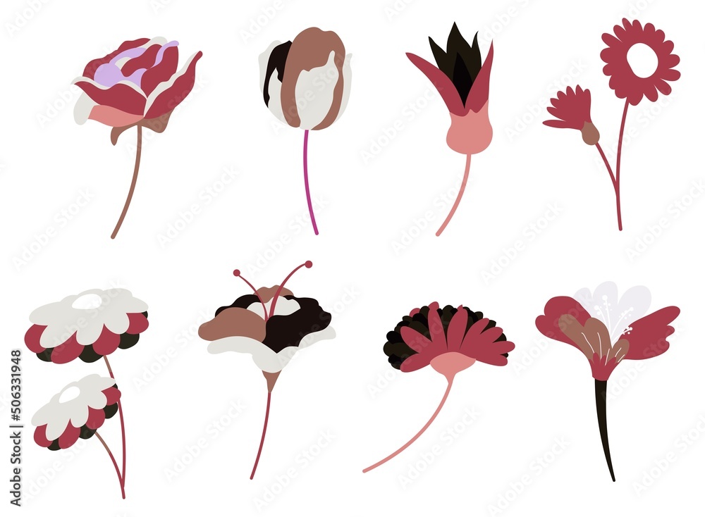 Blooming summer flowers, blossom and flourishing Blooming summer flowers, blossom and flourishing