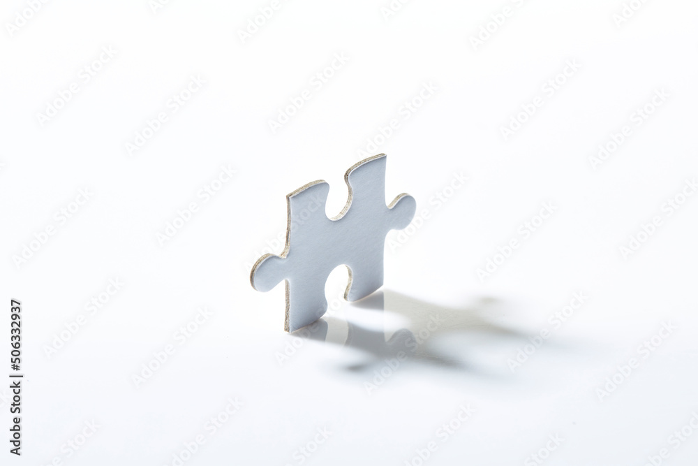 The missing piece of the puzzle The missing piece of the puzzle