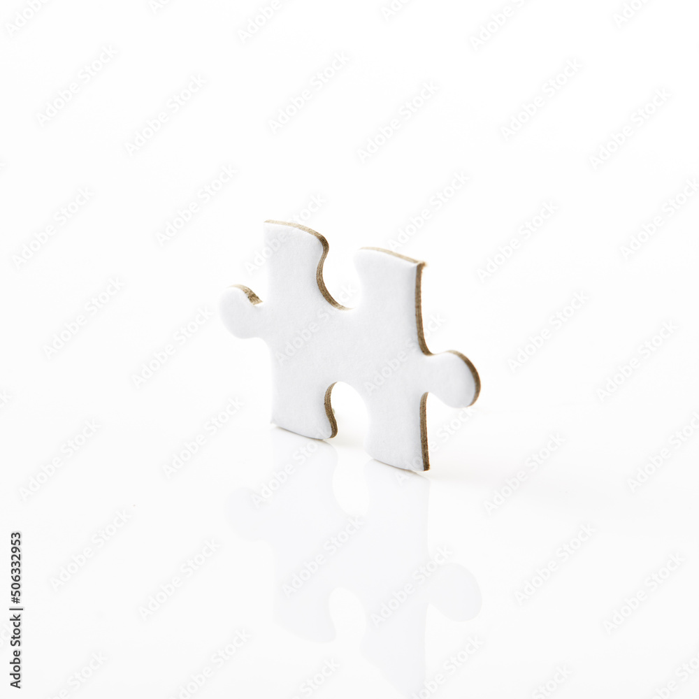 The missing piece of the puzzle The missing piece of the puzzle