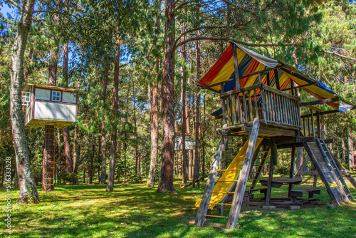 playground in the forest