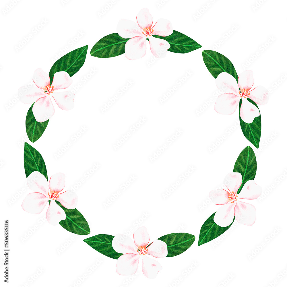 Fototapeta premium Sakura wreath. Watercolor illustration. Isolated on a white background.For design