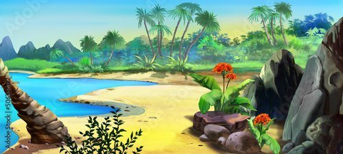 Sandy coast of the island in the tropics