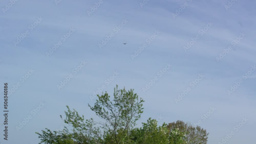 honey bees carry food to their hives. honey bees working intensively in their hives with the arrival of spring. honey bees carry food to their hives. honey bees working intensively in their hives with the arrival of spring.