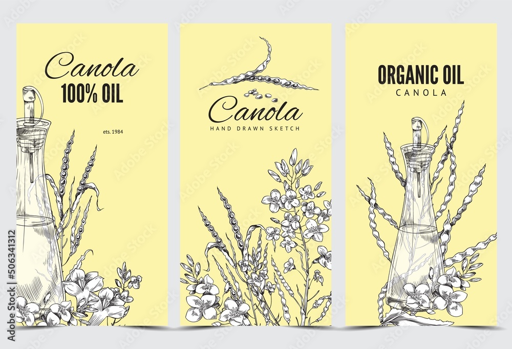Canola vertical poster set, vector flat illustration. Blooming canola, drawing on a banner. - obrazy, fototapety, plakaty 