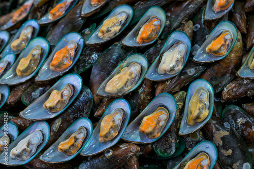 Asian green mussel (Perna viridis) in Thailand street market. photo