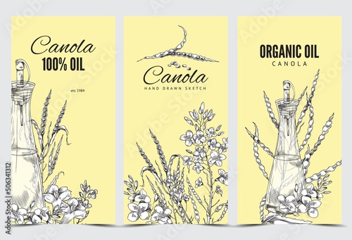 Canola vertical poster set, vector flat illustration. Blooming canola, drawing on a banner.
