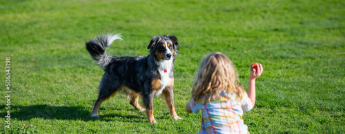 Photography Dog and kid playing with ball catch-up game