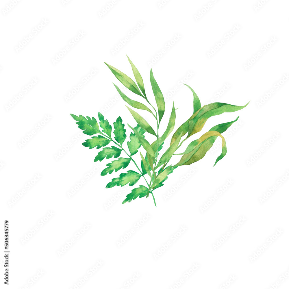 Green leaves bouquet with palm leaves and fern. Hand drawn watercolor illustration. Green leaves bouquet with palm leaves and fern. Hand drawn watercolor illustration.