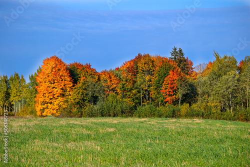 Endless expanses and landscapes of the countryside.