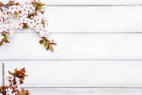 Sakura background flower blossom and April floral nature on wooden. Blooming tree. Easter Sunny day. Orchard abstract springtime background.