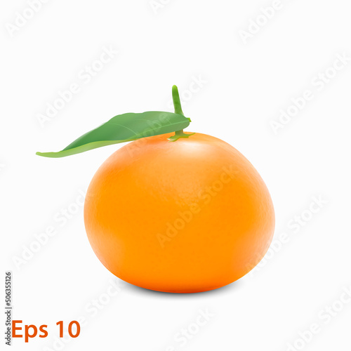 Mandarin. Tangerine. Sweet, ripe, fresh fruit. Isolated on white background. Eps10 vector illustration.