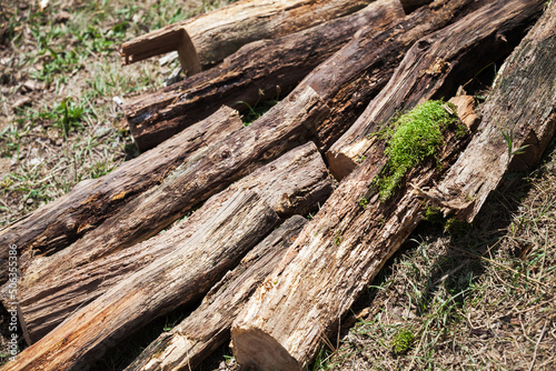 Wallpaper Mural Pile of firewood, old chocks lay in a sunlight Torontodigital.ca