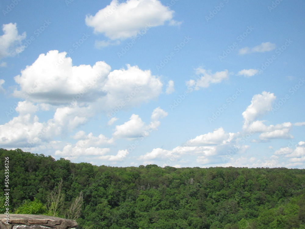 clouds over forest clouds over forest