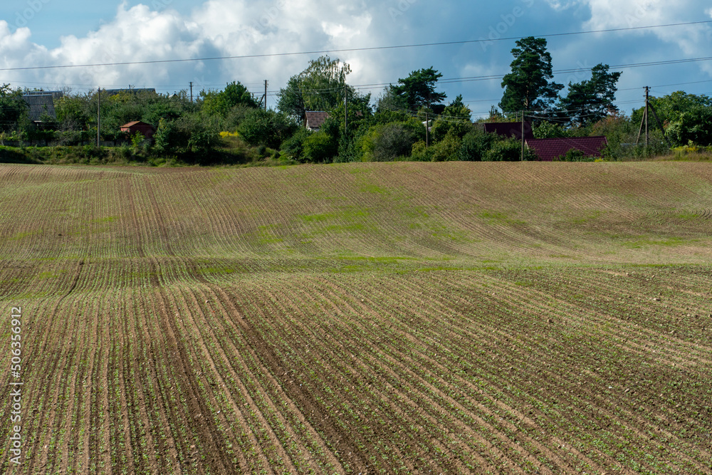 Agricultural field near major cities. Poor conditions for conducting agribusiness and growing crops in an unfavorable place. Environmental pollution.